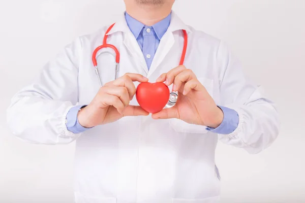 Doctor wear white lab coat with red stethoscope and holding red heart by two hands. Cardiology healthcare, healthy heart protection, cardiac diseases concept