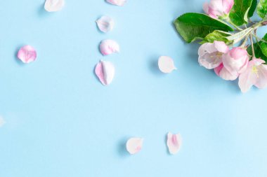 mavi arkaplanda kopyalama alanı olan bahar çiçekleri.