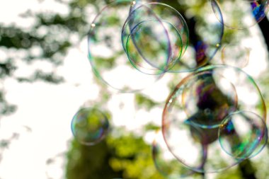 Parkta sabun köpükleri