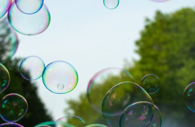Bahçede sabun köpükleri