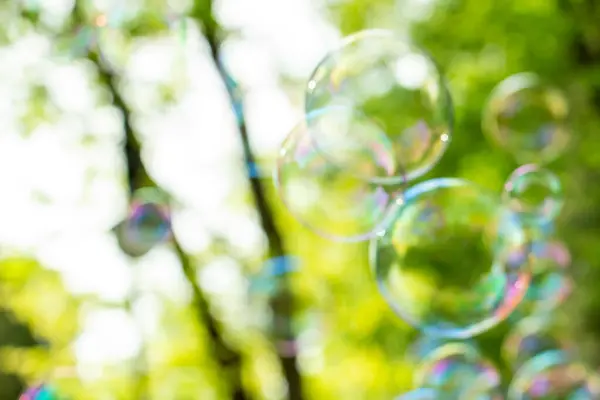 Parkta sabun köpükleri