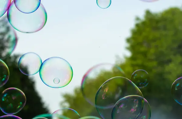 Bahçede sabun köpükleri