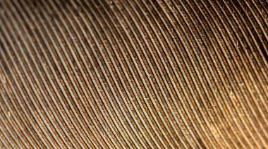 soyut doku arkaplanı, kahverengi renk deseni