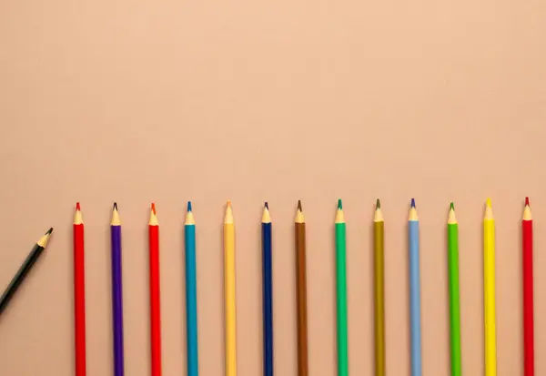 Sade arka planda parlak okul malzemeleri. Renkli kırtasiye malzemeleri, kalem, renkli kalem seti. Okul konseptine, sanatçı konseptine