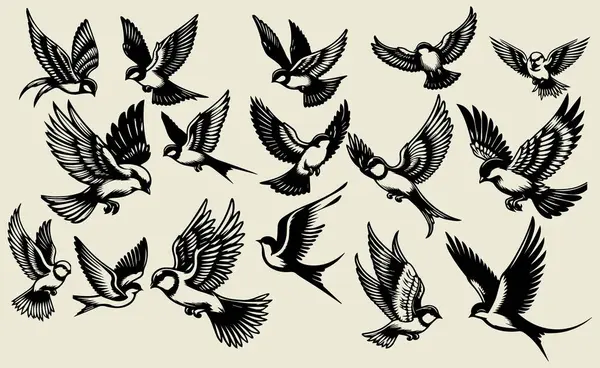Vector Birds Silhouettes White Background — Stock Vector