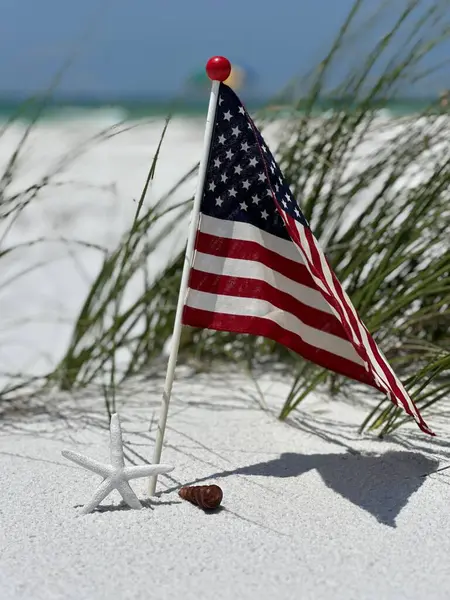Beyaz kumsalda deniz yıldızı ve deniz kabuğu olan Amerikan bayrağı