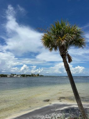 Fort Walton Beach, Florida 'daki Ross Marler halk parkında yüzme alanı. 
