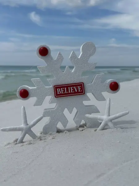 Plajda tahta kar taneleri ve deniz yıldızlarıyla Noel konsepti 