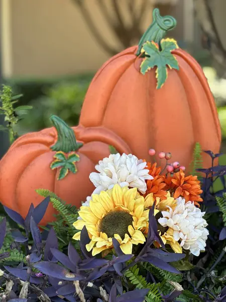 Açık hava sonbahar süslemeleri balkabakları ve çiçeklerle 