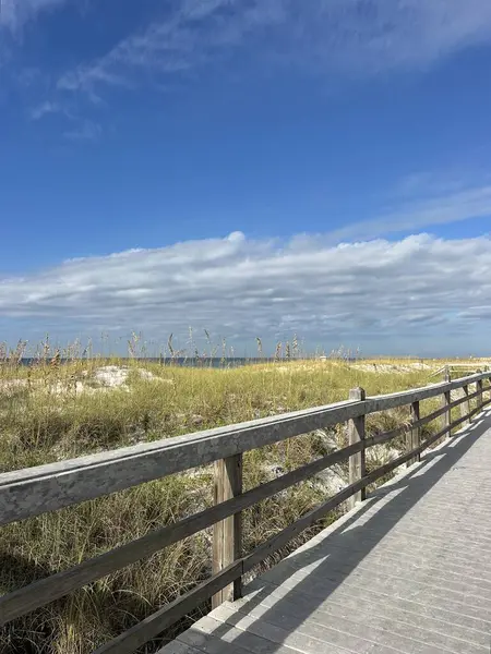 Florida, Destin 'deki James Lee Park' ta kumsal gezintisi köprüsü. 