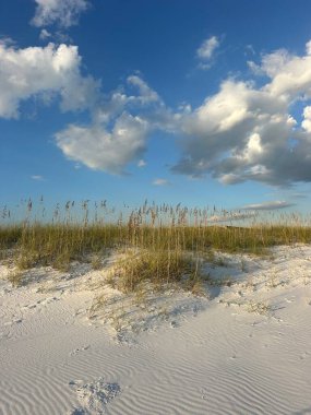 Destin Florida 'daki Henderson Beach Eyalet Parkı' nda yulaflı beyaz kum tepeleri. 