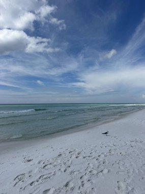 Meksika Körfezi kıyı şeridi manzarası Zümrüt Sahili Florida Martı ve tüylü beyaz bulutlar