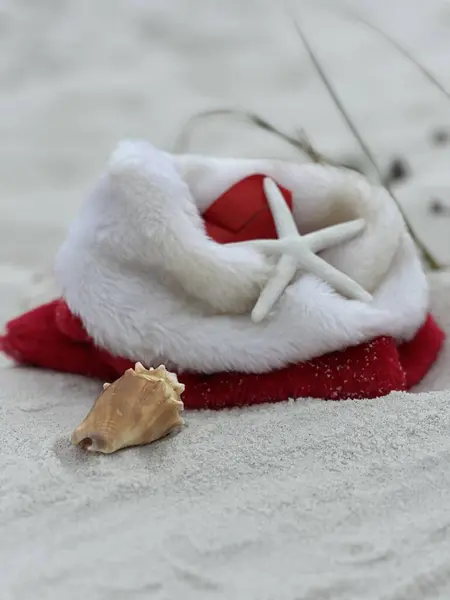 Beyaz kumsalda deniz kabuğu ve deniz yıldızı ile kırmızı beyaz çorap Noel konsepti 
