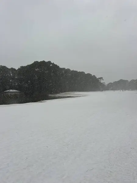 Florida 'da eşi benzeri görülmemiş bir hava olayı.