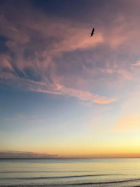 Martıların uçuşuyla Amerika Körfezi üzerinde renkli bir gün batımı