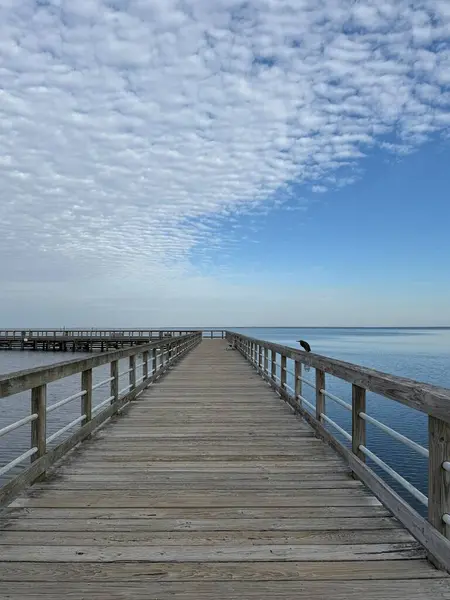Florida ChoctaWhatchee Körfezi 'nin üzerinde yeşil balıkçıl balığı iskelesinde yürüyor.