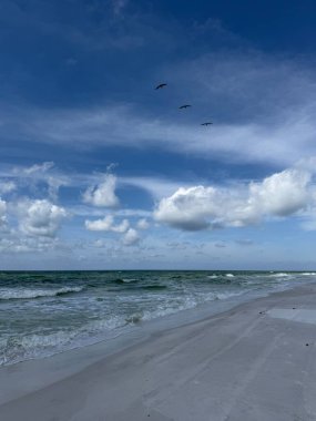 Amerika Körfezi üzerinde uçan pelikan sürüsü Zümrüt Sahili Florida 