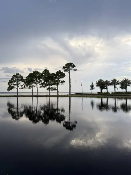 Sakin körfez suyunun üzerinde gri fırtınalı günbatımı ve suya yansıyan çam ağacı siluetleri.