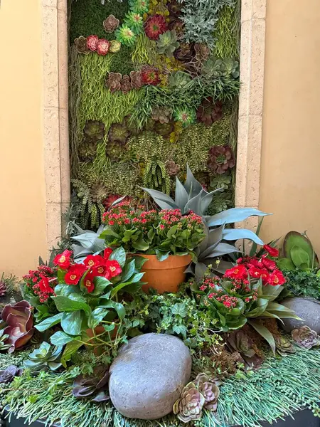 Bahçede çeşitli bitkiler ve kırmızı gelincikler var. 