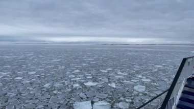 Gemi büyük buz kütleleri arasında yüzüyor ve arka planda şehir manzarası var.
