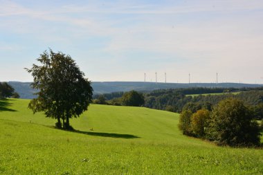 Eifel Ulusal Parkı 'ndaki küçük Kesternich köyü çevresindeki manzara yürüyüşçüler için bir cennettir..