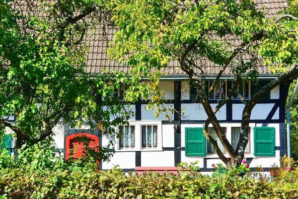 ドイツのエフィエル国立公園 アインフルールの半分の家 — ストック写真