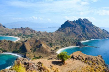 Komodo Ulusal Parkı 'nın üç güzel koyuyla Padar Adası manzarası