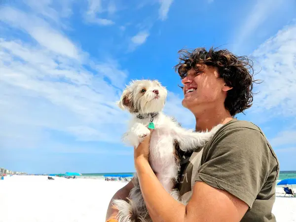 Genç adam Millennial yazın kumsalda sevimli bir köpekle oynar.. 