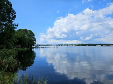 Yazın Florida Körfezi 'nin sularında bulut ve ağaç yansımaları olan sahil manzarası. 