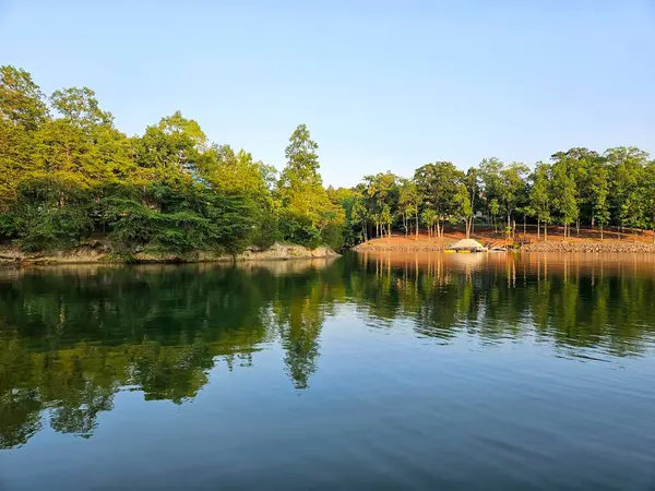 Kuzey Carolina 'da Norman Gölü' nün kıyısında yeşil ağaçlar ve sularda kayalar ve öğleden sonra suda yansıyan ağaçlar.. 