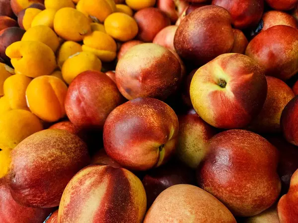 Genel gıda düzlüğü pazarda perakende satış için taze olgun meyveler sunar..