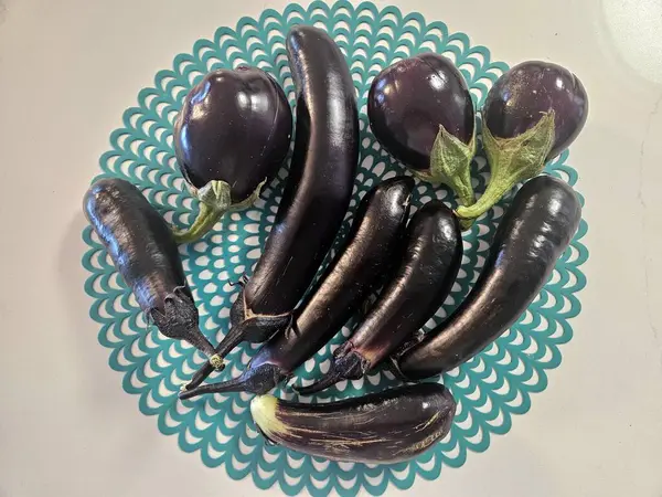 Tepedeki gıda düzlüğü çiftçi bahçesinden toplanmış taze patlıcanlarla işlenmeye ve pişirilmeye hazır..