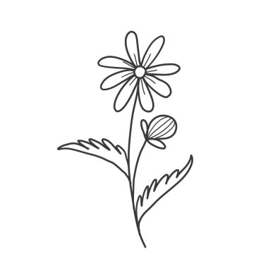  Çiçekli klasik Barok parşömeni Viktorya dönemi çerçeve kenarı çiçek süslemesi oymalı retro desenli gül şakayık dövmeli filigran vektörü