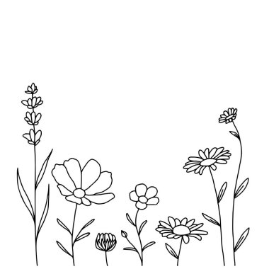Yaban çiçekleri sanat vektörü 