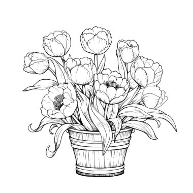 Lale Vektörü Sanat Çizgisi.