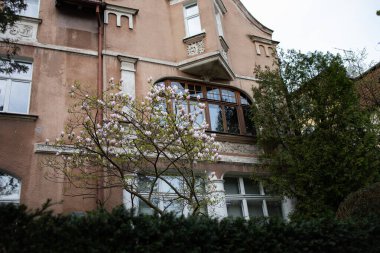 Sopot, Polonya - 12 Nisan 2024 - Polonya Sopot, Polonya 'da bahçeli ve manolyalı eski özel ev