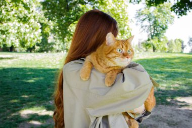 Zencefilli kedi parkta kızıl kız tarafından tutuluyor.