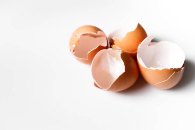 beyaz zemin üzerine yumurta kabuğu