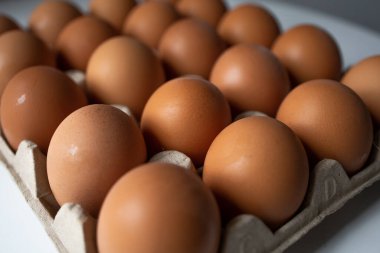 Kağıt tepside tavuk yumurtası yakın.