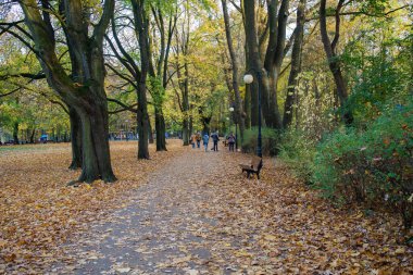 Polonya 'nın Poznan kentinde sonbaharda Solacki parkı
