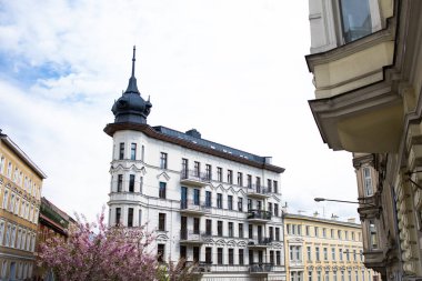 İlkbaharda Poznan 'daki Ogrodova Caddesi.