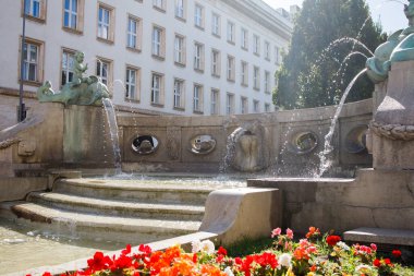 Polonya Poznan 'da yunuslarla dolu bir çeşme