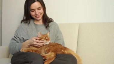 Mutlu kızıl kedi, kız arkadaşıyla kanepede oturuyor ve onu okşuyor.