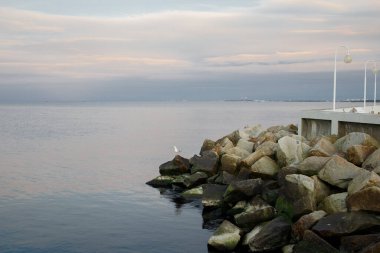 Polonya 'daki Sopot rıhtımından taşlı ve martılı deniz manzarası.