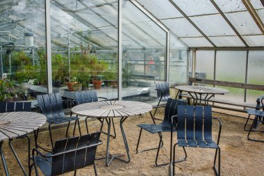 Kopenhag botanik bahçesindeki bitkilerle seranın yakınında dinlenmek için sandalyeler ve masalar. Danimarka başkentinde vatandaşların ve turistlerin en sevdiği yer.