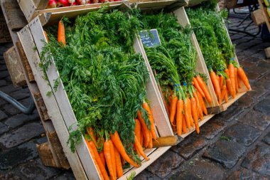 Yerel çiftçi gıda pazarında taze ve lezzetli organik havuç satılıyor. Sağlıklı beslenme, iyi beslenme için yararlı sebzeler. Yerel çiftçilerin mevsimlik ürünlerini seçerek küçük işletmeleri desteklemek.