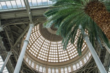 Danimarka, Kopenhag 'daki Ny Carlsberg Glyptotek müzesinde büyük kubbe, tavan ve palmiyeler. Düşük açı. Modern sanat alanı ve önemli kültürel dünya nesnesi.