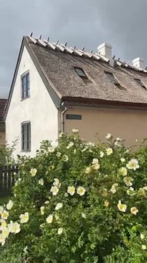 Danimarka 'nın Dragor kasabasında saman ve kiremit çatılı küçük geleneksel evleri olan sokak.