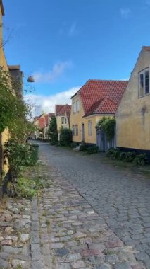 Danimarka 'nın Dragor kasabasında küçük sarı geleneksel evleri olan şirin bir cadde.