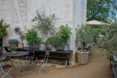 Danimarka 'daki Kopenhag şehir parkında bitkileri olan rahat bir kafe bahçesi.